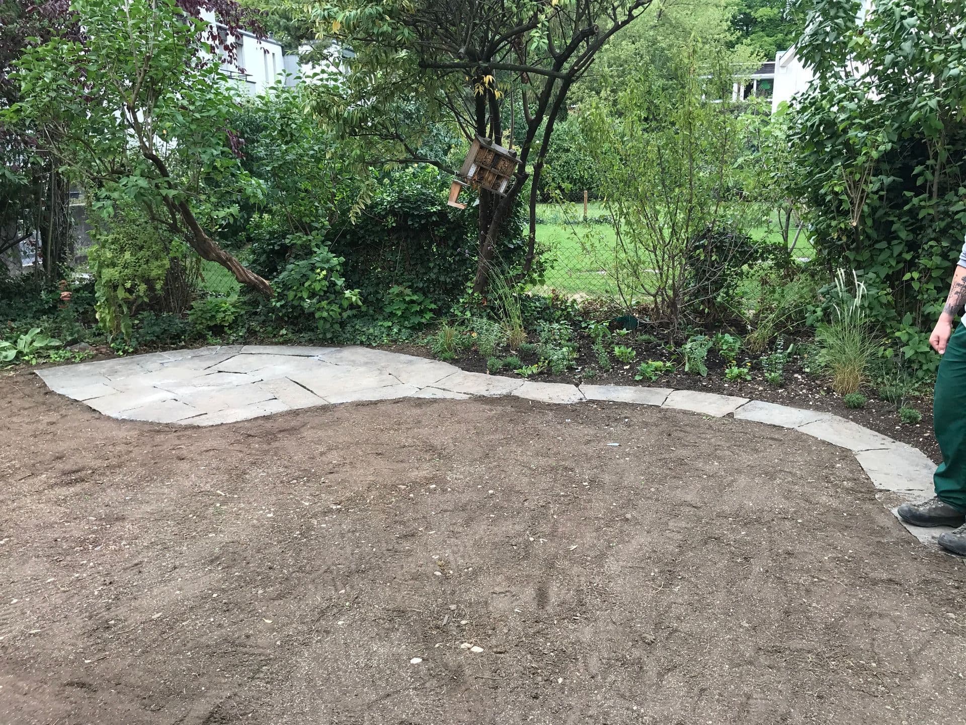 Neupflanzung in Binningen – Privatgarten